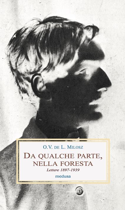 Da qualche parte, nella foresta. Lettere 1897-1939 - L. Milosz O.V. De - copertina