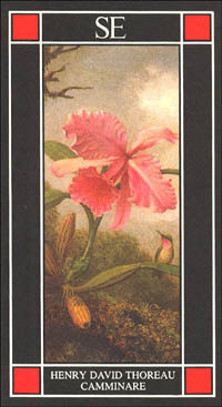 Solelibri