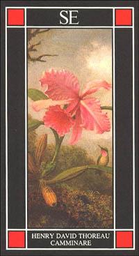 Camminare - Henry David Thoreau - copertina