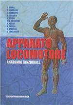 Apparato locomotore. Anatomia funzionale