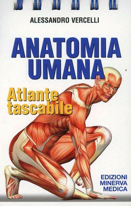 Anatomia umana. Atlante tascabile - Alessandro Vercelli - copertina
