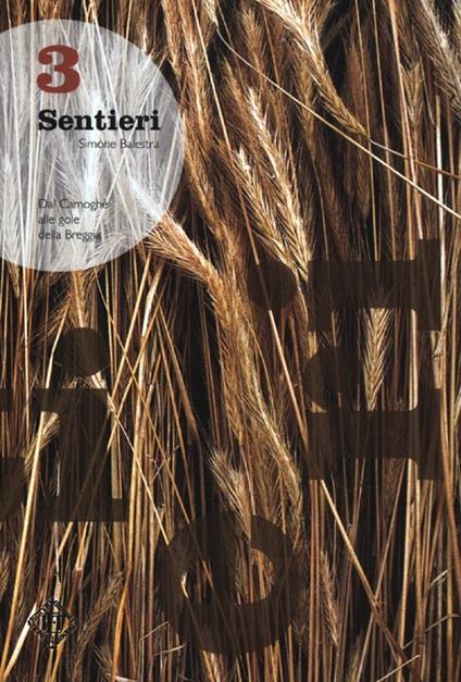Sentieri. Dal Camoghè alle gole della Breggia. Vol. 3 - Simone Balestra - copertina