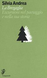 La Bregaglia. Escursioni nel paesaggio e nella sua storia