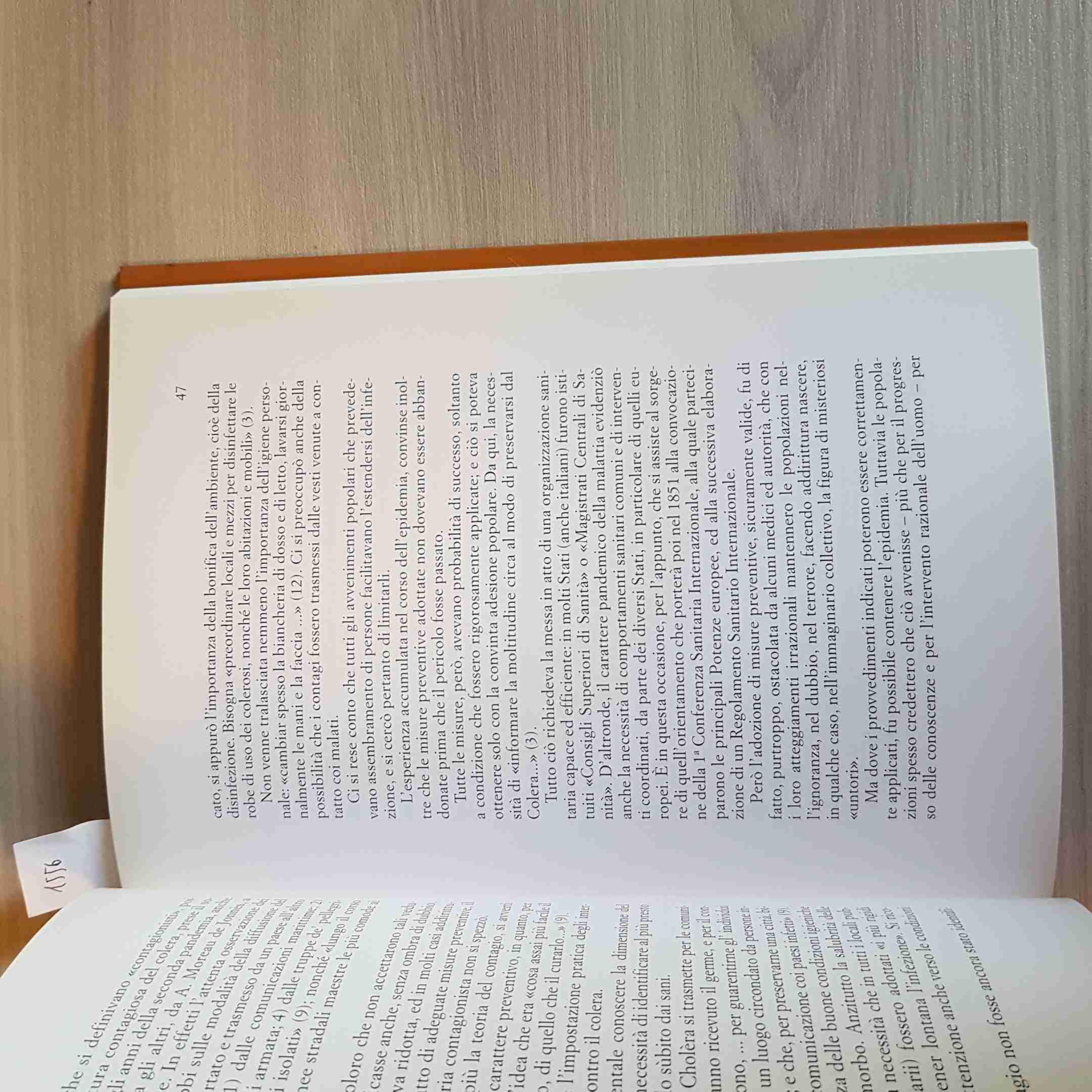 Il colera: ieri e oggi