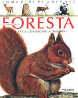 Gli animali della foresta - Emilie Beaumont - copertina