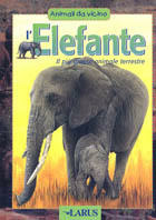 Gerard Libri