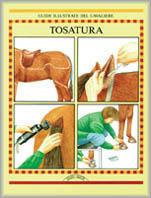 Tosatura - Watson - copertina