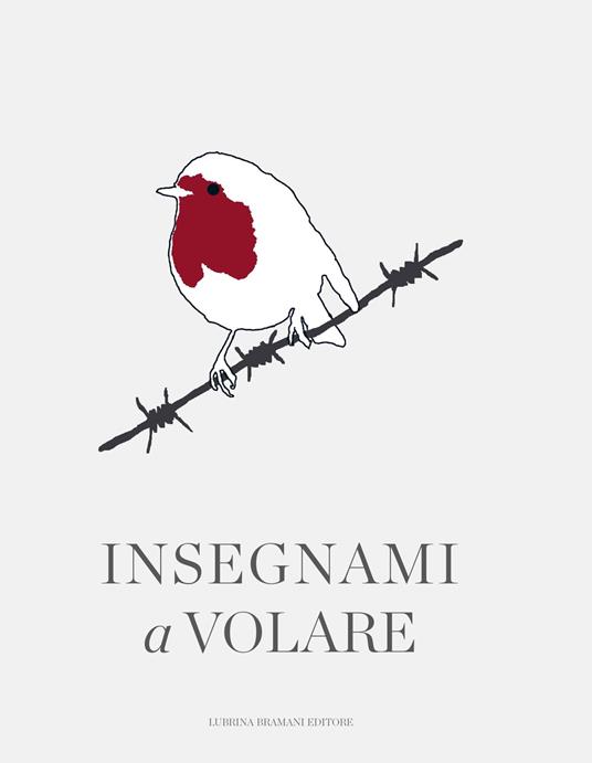 Insegnami a volare - copertina