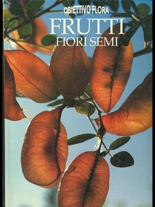 Frutti fiori semi. Ediz. illustrata - Daan Smit,Nicky Den Hartogh - copertina