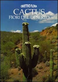 Libreria Postumia
