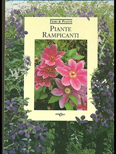 Libreria Serendipity