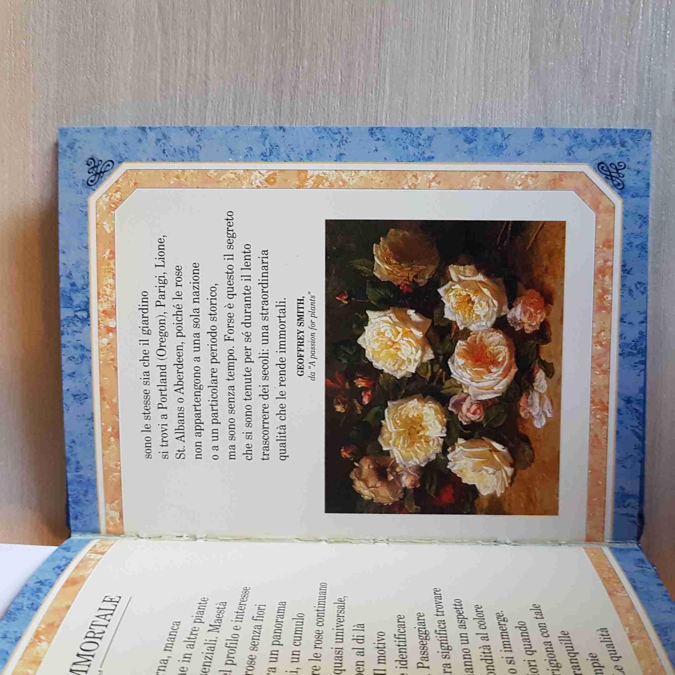 Rose. Ediz. illustrata