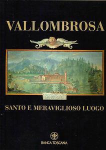 Vallombrosa. Santo e meraviglioso luogo - copertina