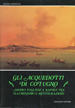 Gli acquedotti di Cotugno. Medici pugliesi a Napoli tra illuminismo e restaurazione