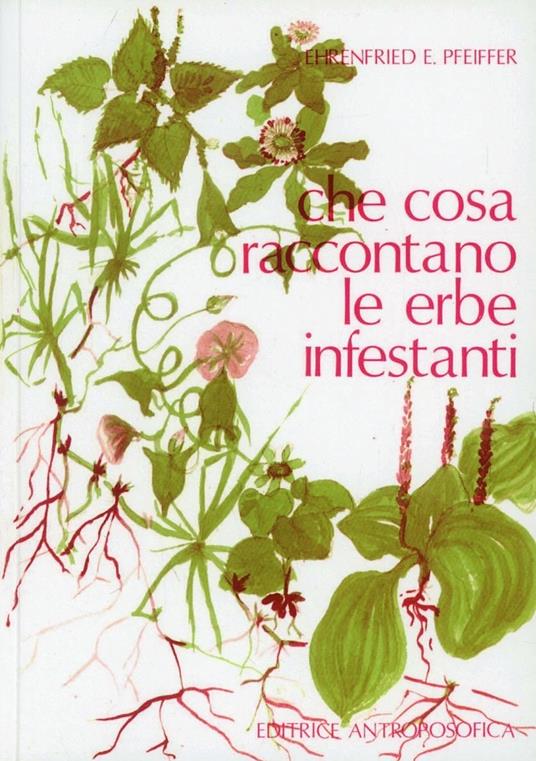 Che cosa raccontano le erbe infestanti - Ehrenfried E. Pfeiffer - copertina