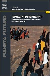 Immigrati di immigrati. Processi di inserimento territoriale e criticità aperte - copertina