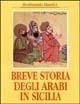 Breve storia degli arabi in Sicilia - Ferdinando Maurici - copertina