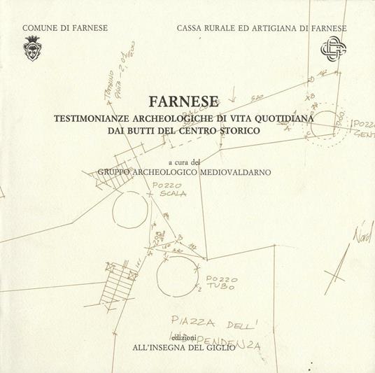 Farnese. Testimonianze archeologiche di vita quotidiana dai butti del centro storico - copertina