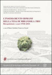 L' insediamento romano della Tesa di Mirandola (MO). Ricognizioni e scavi 1930-2011 - copertina