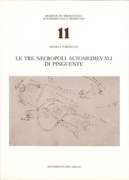 Le tre necropoli altomedievali di Pinguente - Michela Torcellan - copertina