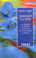 Memostore
