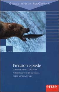 Libraccio