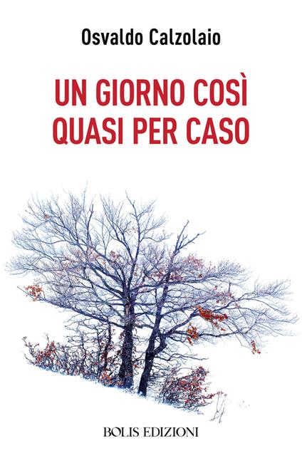 Un giorno così quasi per caso - Osvaldo Calzolaio - copertina