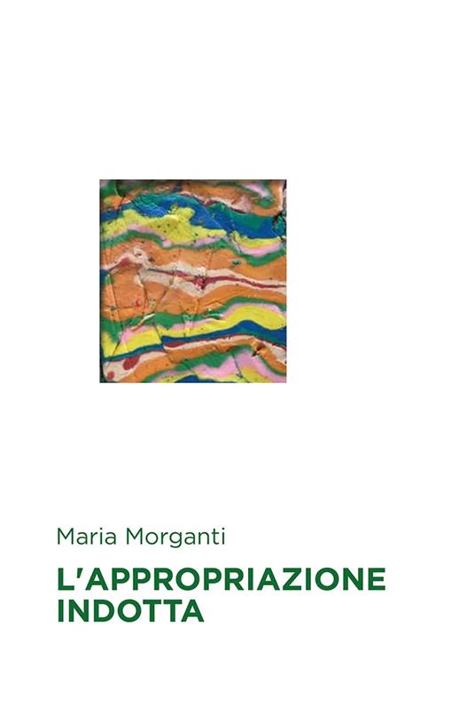 Appropriazione indotta - Maria Morganti - copertina