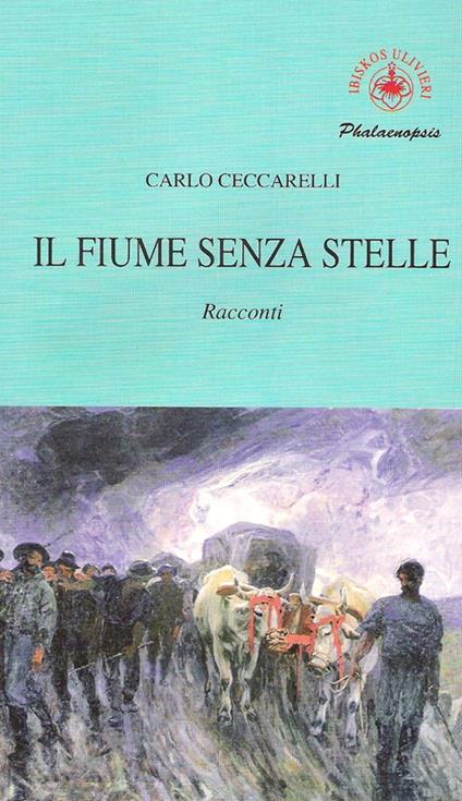 Il fiume senza stelle - Carlo Ceccarelli - copertina