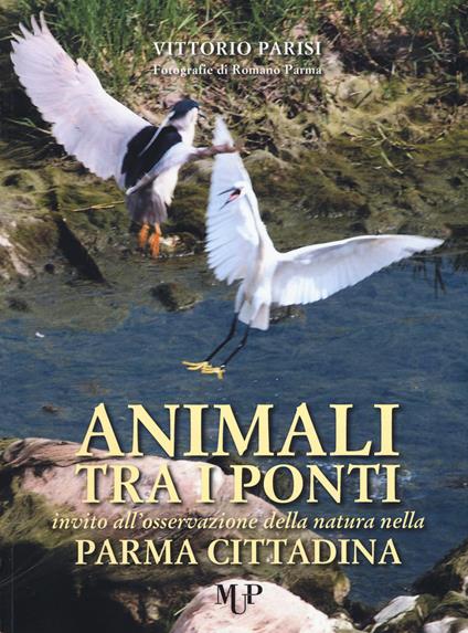 Animali tra i ponti. Invito all'osservazione della natura nella Parma cittadina - Vittorio Parisi - copertina