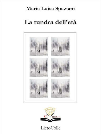 La tundra dell'età - Maria Luisa Spaziani - ebook