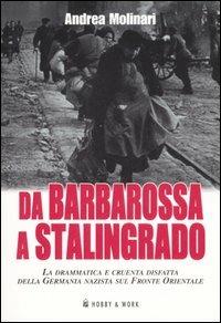 Da Barbarossa a Stalingrado. La drammatica e cruente disfatta della Germania nazista sul fronte orientale - Andrea Molinari - copertina