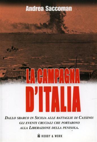 La campagna d'Italia. Dallo sbarco in Sicilia alle battaglie di Cassino: gli eventi cruciali che portarono alla liberazione della penisola - Andrea Saccoman - 2