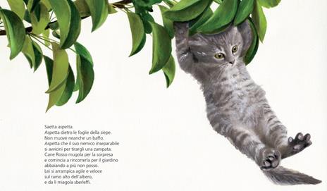 Gatti. Storie con i baffi - Chiara Lorenzoni - 3