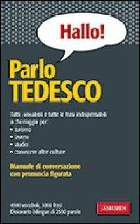 Parlo tedesco - Erica Pichler - copertina