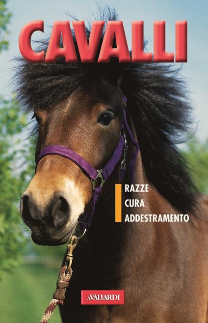 Cavalli - copertina
