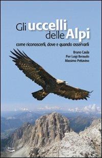 Gli uccelli delle Alpi. Come riconoscerli, dove e quando osservarli. Ediz. illustrata - Bruno Caula,Pier Luigi Beraudo,Massimo Pettavino - copertina