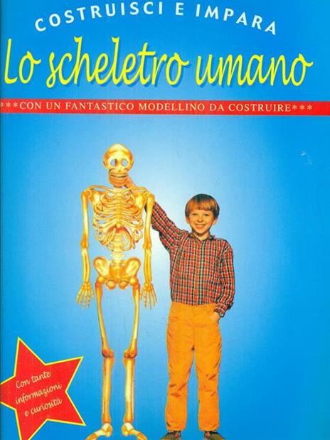 Lo scheletro umano - 3