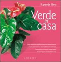 Nome prodotto