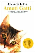 Amati gatti