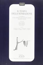 Il tempo della separazione. Un modello di psicoterapia psicoanalitica breve nell'istituzione