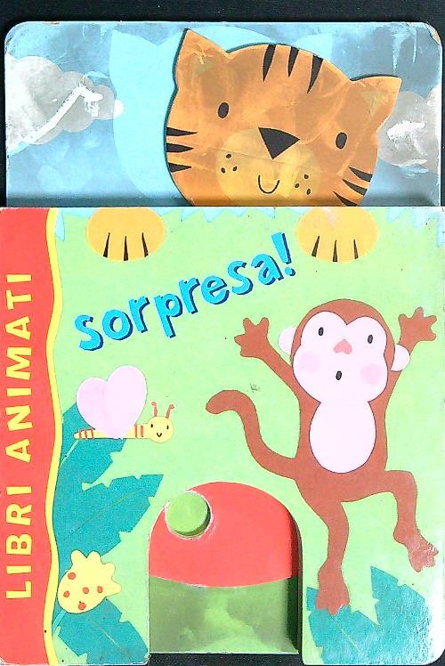 Libro di Faccia