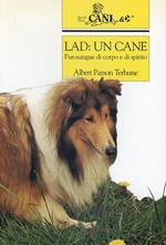 Lad: un cane. Purosangue di corpo e di spirito