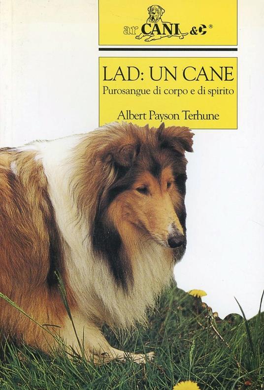 Lad: un cane. Purosangue di corpo e di spirito - Albert Payson Terhune - copertina