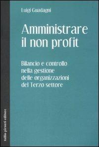Amministrare il non profit. Bilancio e controllo nella gestione delle organizzazioni del terzo settore - Luigi Guadagni - copertina