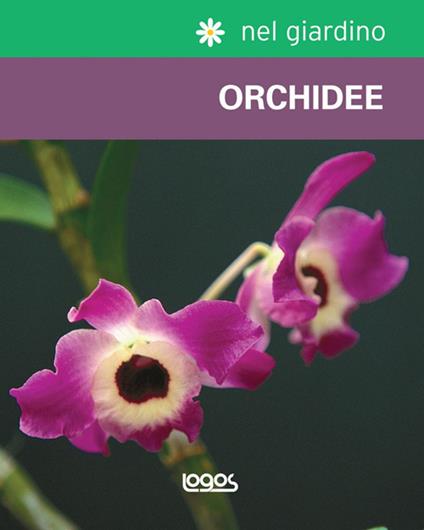 Nel giardino: orchidee. Ediz. illustrata - copertina