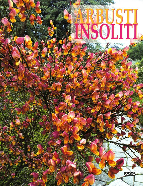 Folignolibri