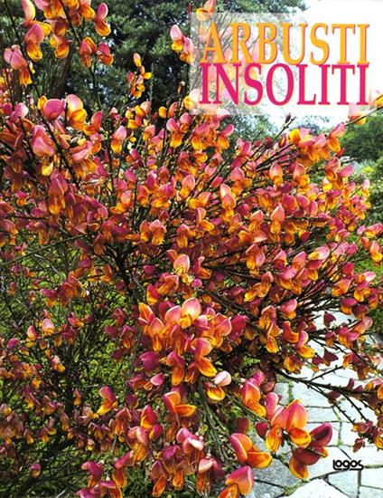 Arbusti insoliti. Ediz. illustrata - Paolo Cottini - copertina