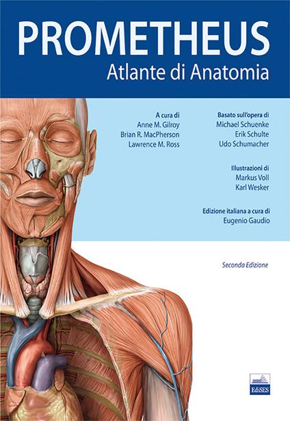 Prometheus. Altante di anatomia - Anne M. Gilroy,Brian R. MacPherson,Lawrence M. Ross - copertina