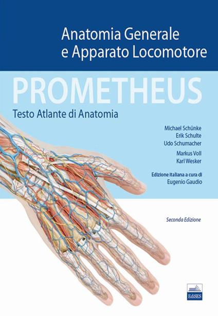 Prometheus. Testo atlante di anatonomia. Anatomia generale e apparato locomotore - Michael Schünke,Erik Schulte,Udo Schumacher - copertina